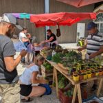 Marché à la ferme – dimanche 7 juin 10h-18h