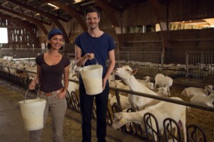 Copyright: Janett Kartelmeyer / AVE